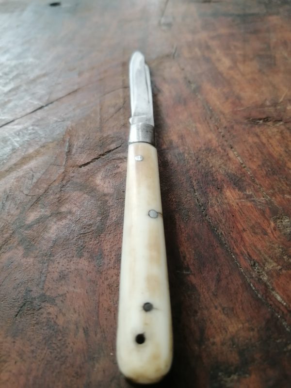 Superior steel penknife with white scales