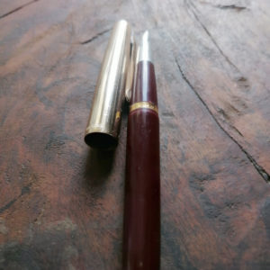 Wingsung Lily VIntage fountain pen