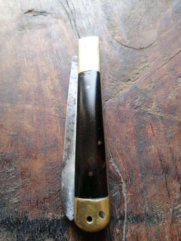 penknife brass bolsters buffalo scales