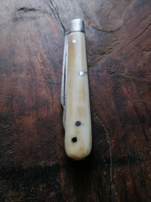 penknife white scales
