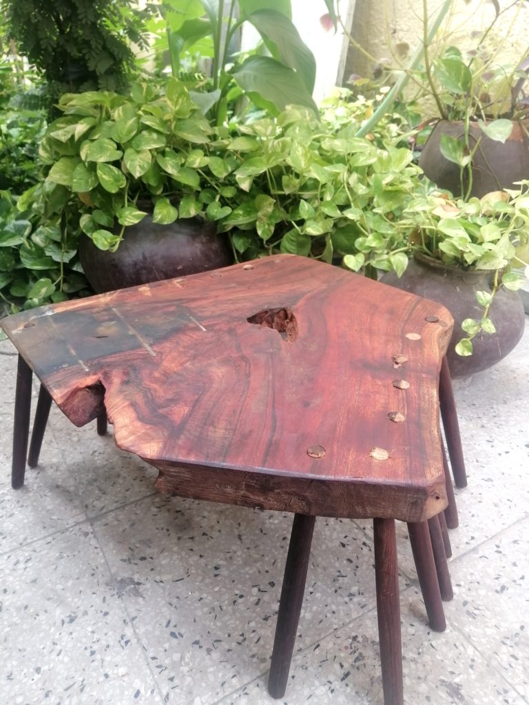 Insect table wooden